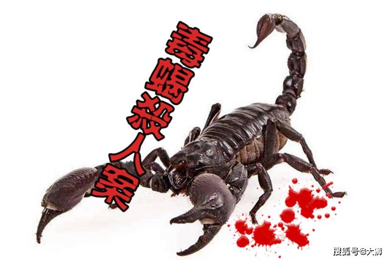 原创光绪年间某富少中毒身亡查案官员却说真凶非人乃是毒蝎