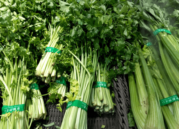 日常食材是我国本土植物 e20c3d1bb2db4236842091ba66b29533.png