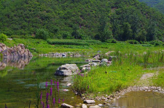 华北地区河流现状探秘:河北与山西交界处的甘陶河美景