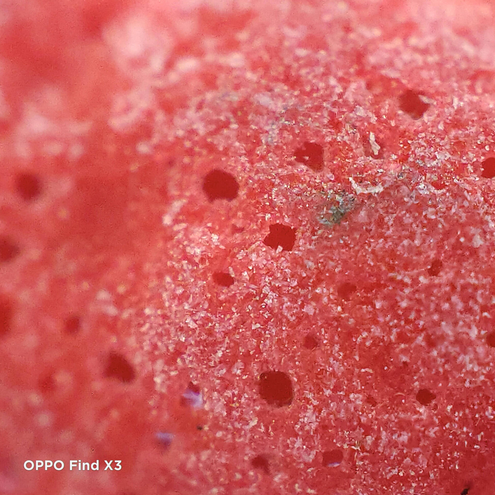 oppo find x3系列显微镜功能支持60倍放大拍摄,而且oppo还专门为显微