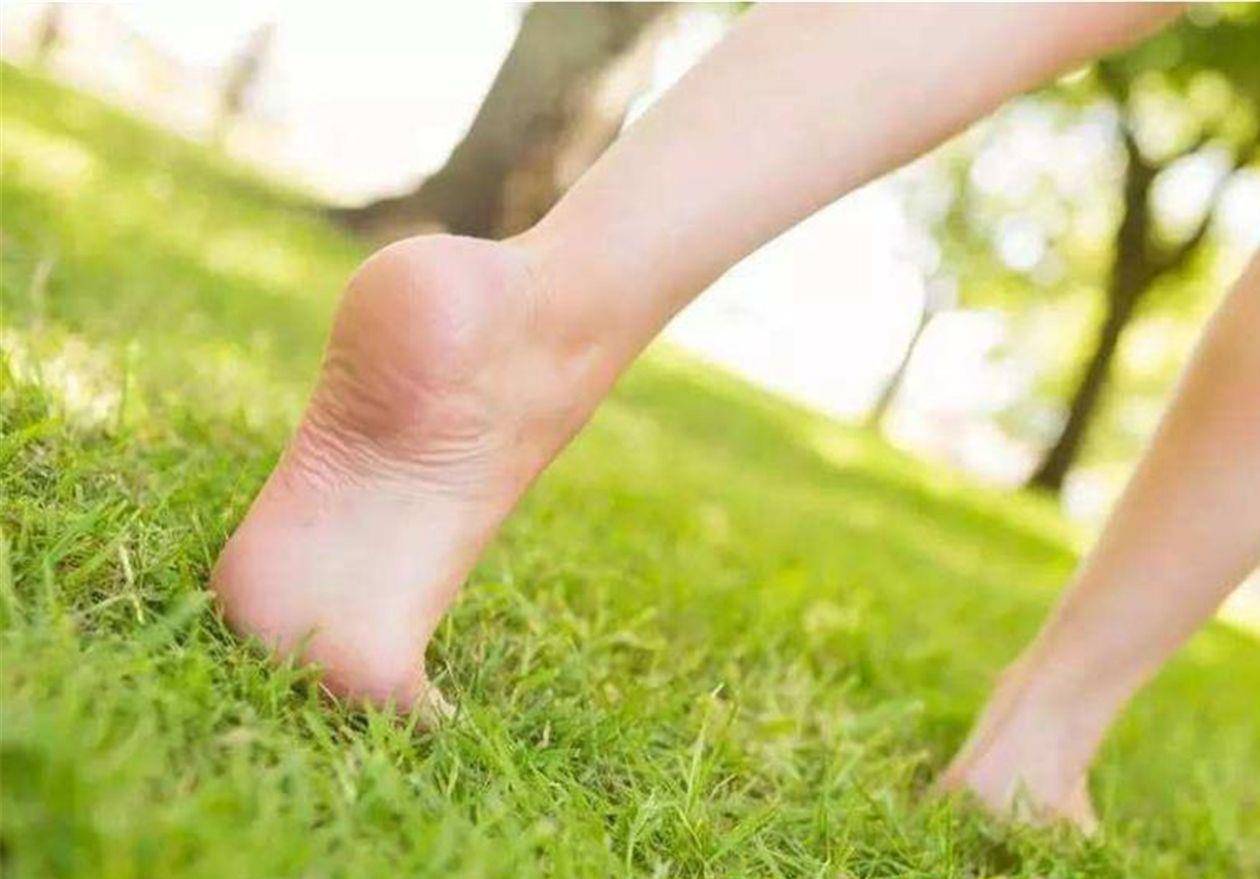 踮脚也是养生方法每天坚持踮脚尖身体这3个方面都能得到改善