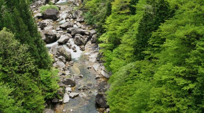 价格涨了需求没起来,黑电市场今年还得在两难中负重前行-家电圈官网