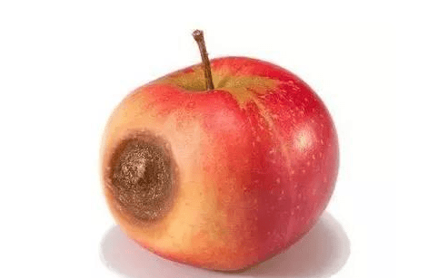 0a69d6054a944f2a83dcf27aec73636b.png