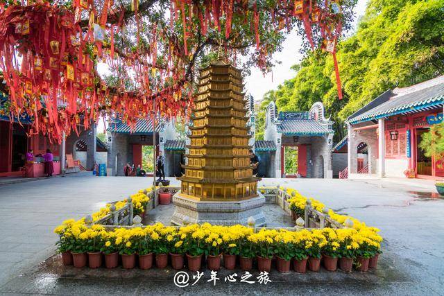 广东国恩寺藏一千年佛荔，已成当地旅游的焦点对象