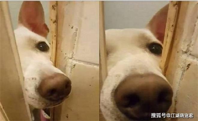 dd859d1abe5f4b11a9848a3fdcd18db1.jpeg