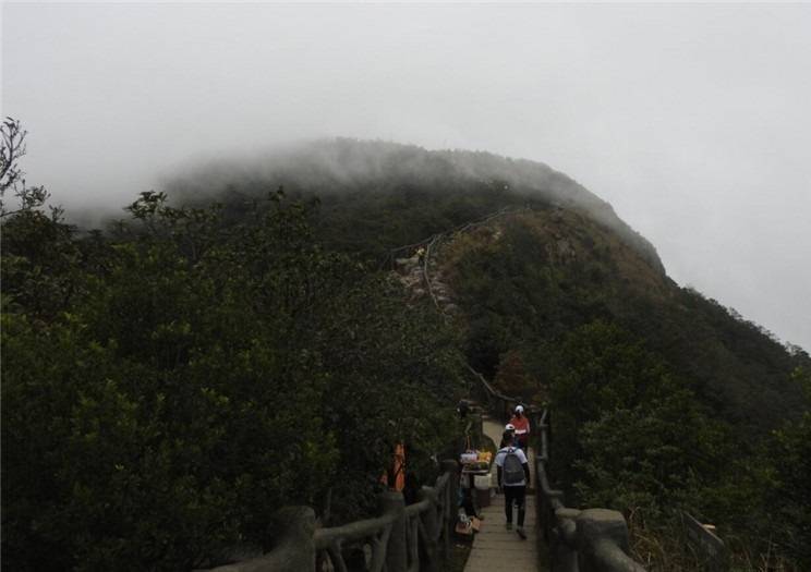 登顶梧桐山，云雾环绕着山峰，有如置身仙境一般