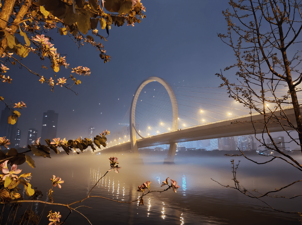 魅族18pro拍照实测三月踏青必备神器