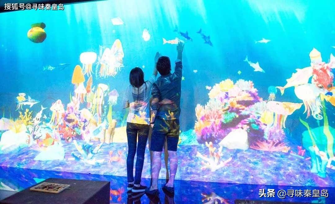在秦皇岛上的海底世界，竟然能与海洋生灵穿越虚拟与现实