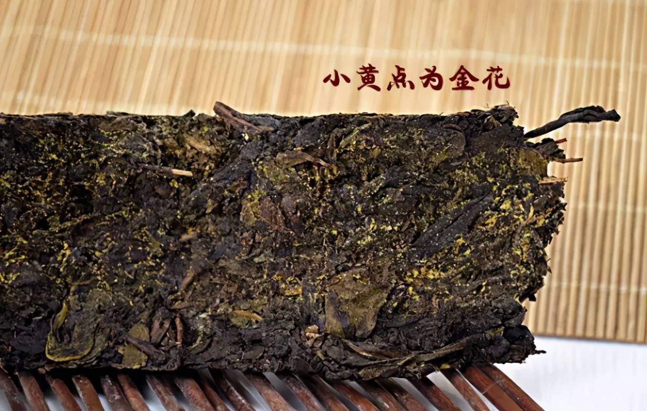 新茶界 每日分享-黑茶金花,贵如黄金