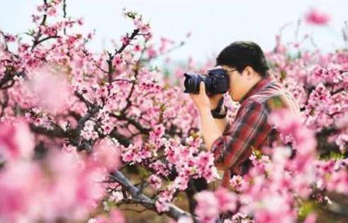 黟城故事“旅居康养地、美在桃花源”主题摄影大赛