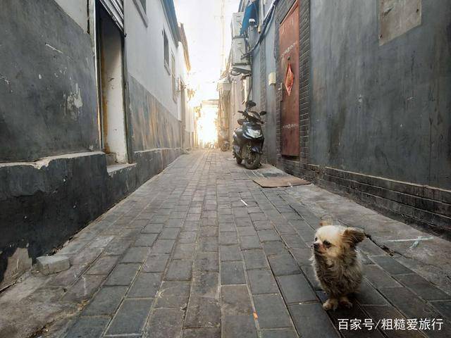济南最“窄”街道，仅有“80厘米”，外卖小哥却开出康庄大道感觉