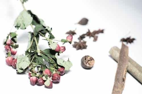 健康产业排行榜_2021四川大健康产业标杆企业榜单揭晓医联荣誉上榜