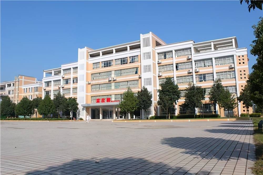 常德小学排名_常德三岔路小学图片(2)