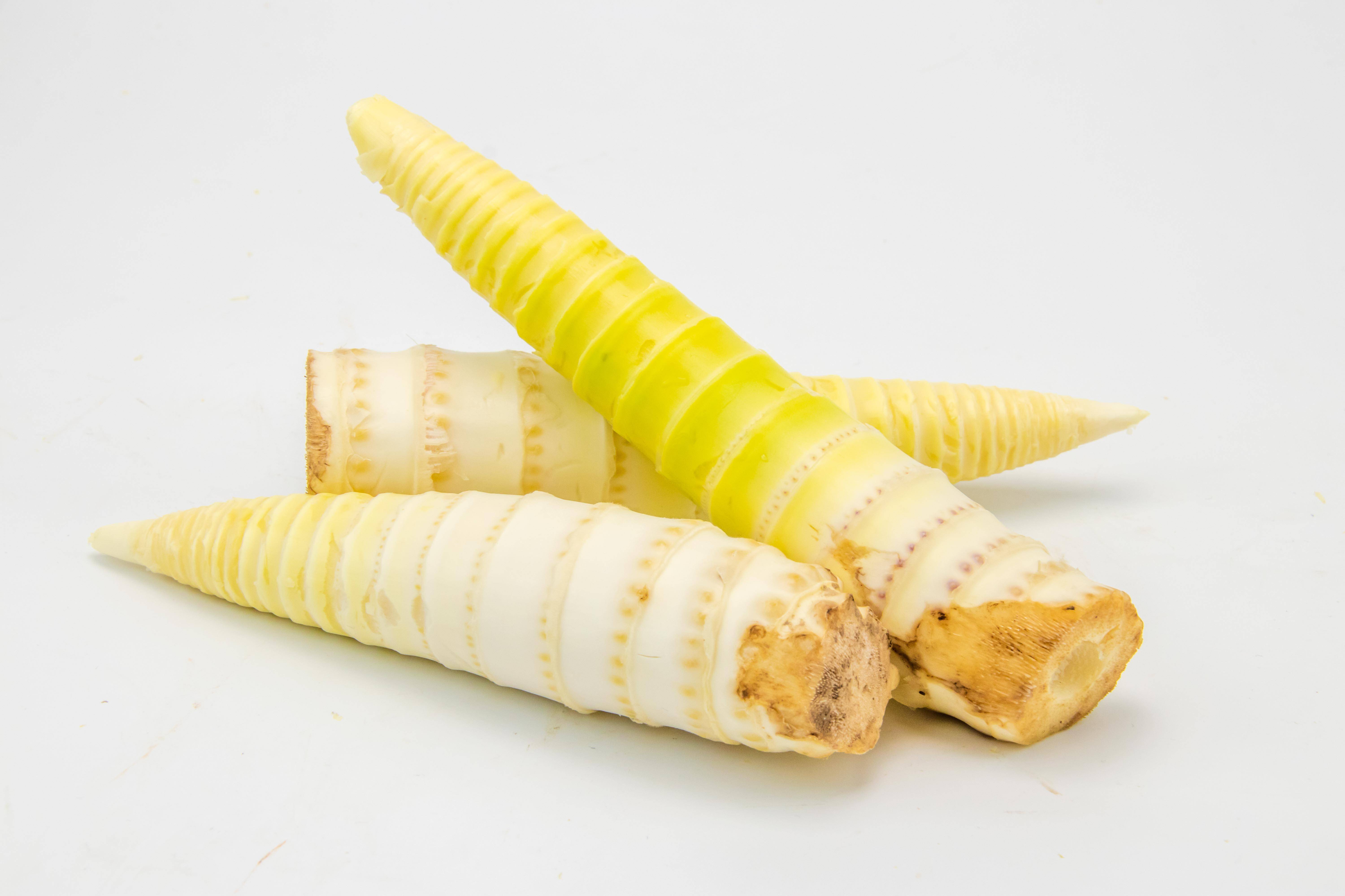 什么样的笋子不能吃 a4b817197c564b2bb66eeccca087ddfb.jpeg