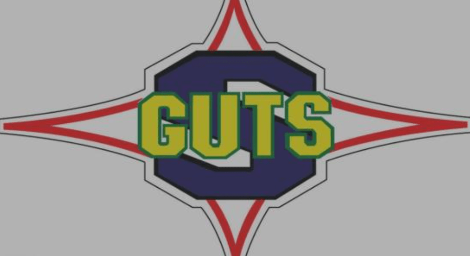 从圆谷注册的商标来看,似乎都和tpc,胜利队相关,所以这一点的可能性