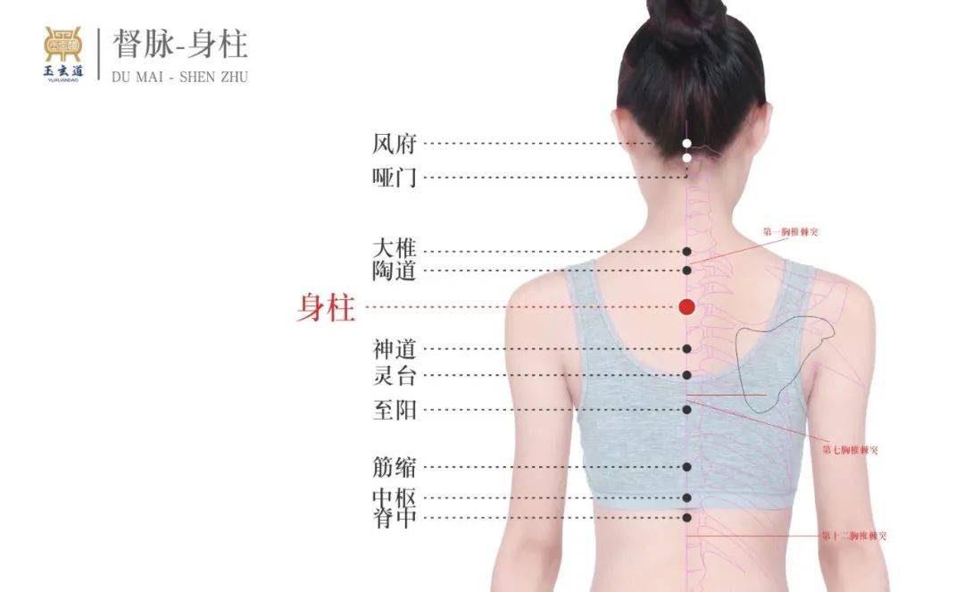 如何快速练出好脾胃 08727d4fe4064378bf1feceb6eb5a08c.jpeg