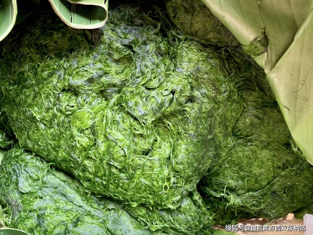 西双版纳需要6道工序的美食,你吃过么?_青苔