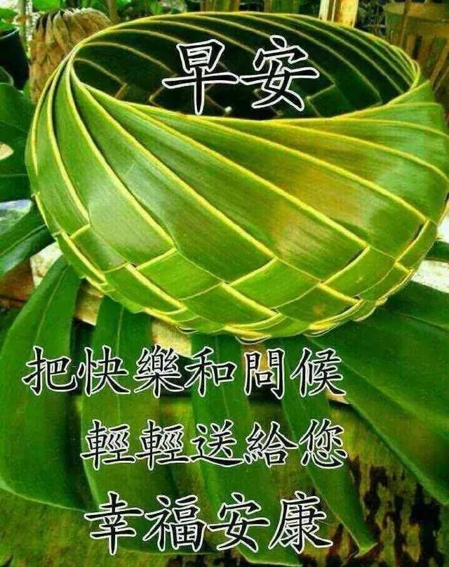 原创早上好问候语表情包动画图片星期天早安温馨祝福语好看的图片