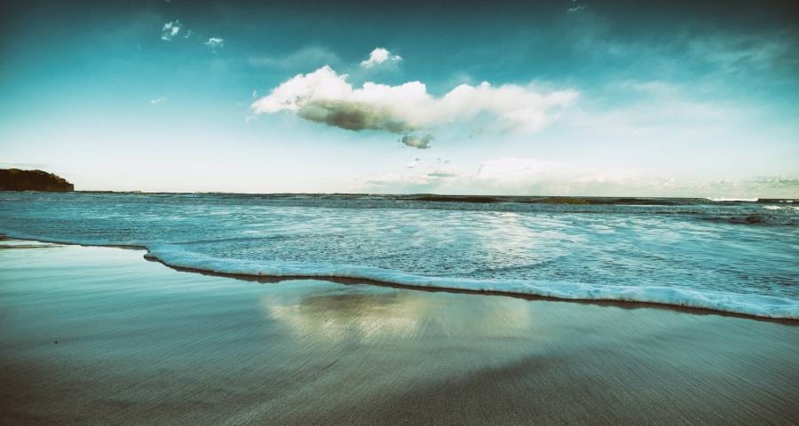 今年千亿家电巨头或出现新变数？美的海尔格力长虹海信TCL怎么样-家电圈官网