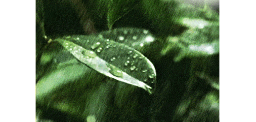 6c813472cae2484eaff80f7c162cc392.gif