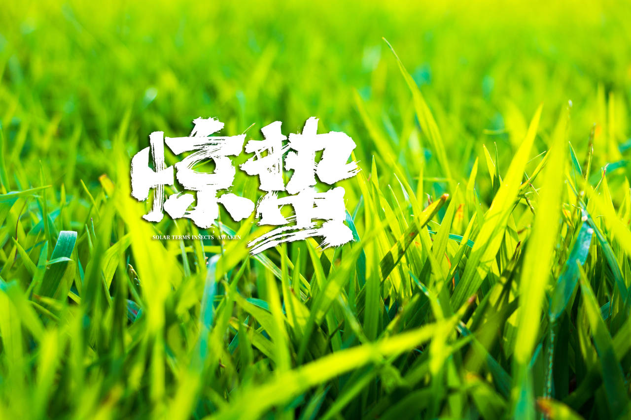 明日惊蛰,牢记"多吃3样少吃2样",饮食顺应节气,安然度过春季_莲藕