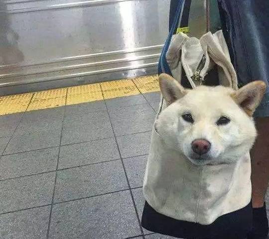 d0af8d9410d74158a6905bf64b2de63c.jpeg