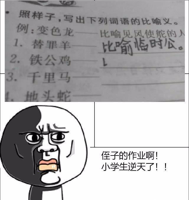 dc95a1b9914840a2a05a7b69f681ee17.jpeg