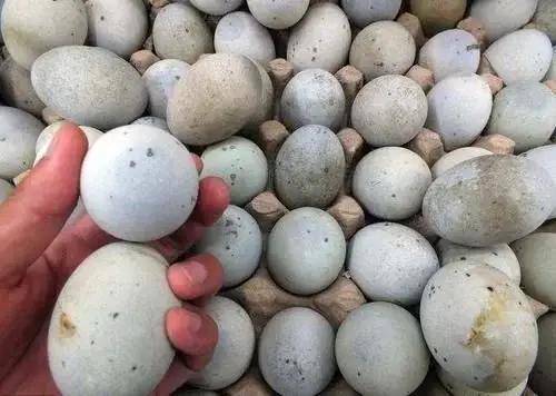 买皮蛋时,碰到这"4种"不要买,8毛一个也不要,商贩自己都不吃