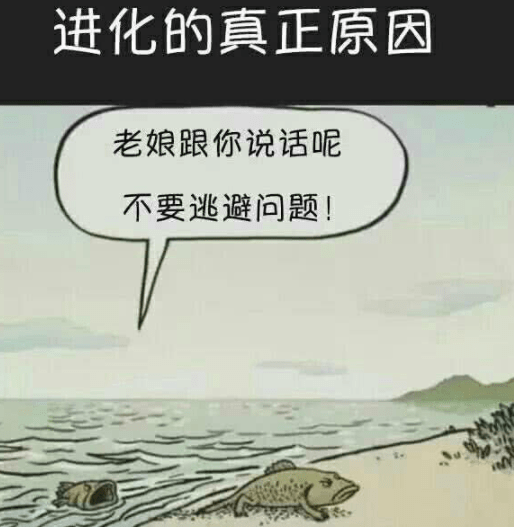6918b8132a7f4793a99fe81514b6b7c9.png