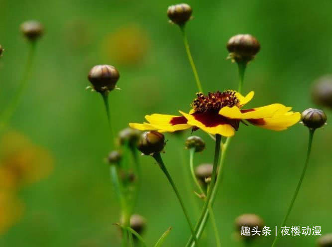 4月下旬开始财运来临 有贵人相助 富贵花开的四大属相 朋友