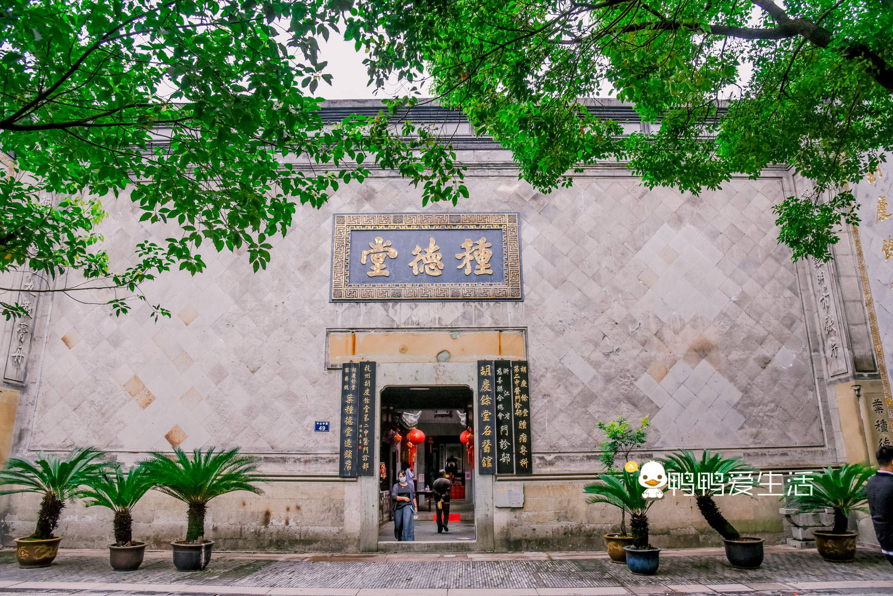 杭州市区唯一保持古城历史风貌老街，遍布老字号药局，曾是皇城根