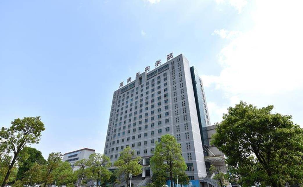 长沙市医院排名_长沙市中心医院(2)