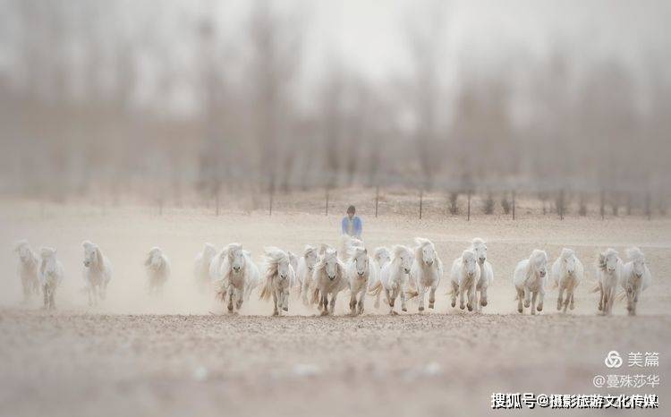 蔓什么成语_成语故事图片(2)