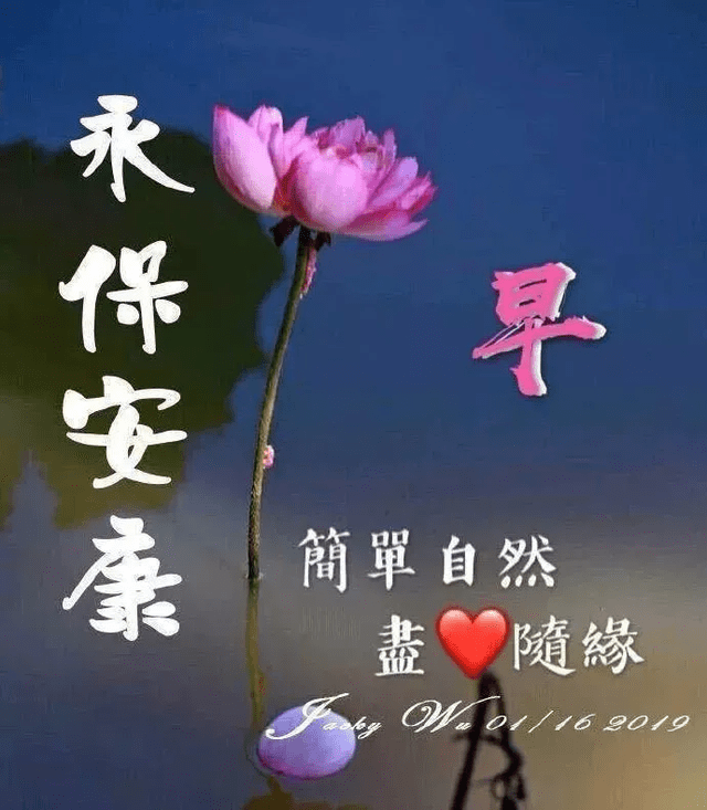 新版早上好唯美表情问候图片,祝你周三快乐_生活