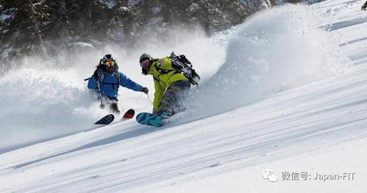 除了滑雪与温泉这两大标配外，雪野花火是新潟冬季旅游的第三选项！