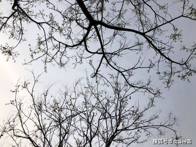 b58f4a853a1243c280082a7cf95973d2.jpeg