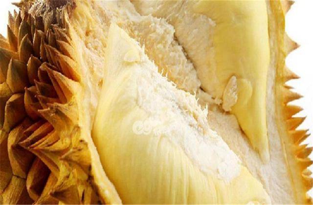 怎么挑选榴莲才熟得快些 e84a8664b96a43459b7a858be0b02127.jpeg