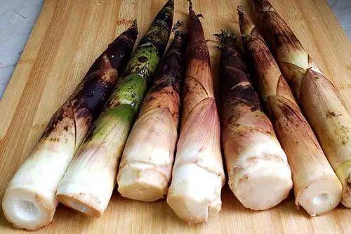 笋是不是寒性的食物 03616abc6ada48689ef9c129f64f43b1.jpeg