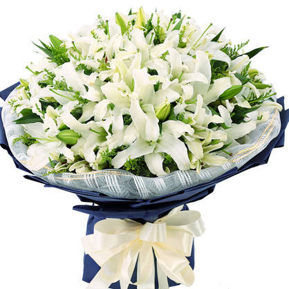 百合花花语 不同颜色的百合花花语分别是什么 看看吧 白色 百合花花语 不同颜色的百合花花语分别是什么 看看吧 白色