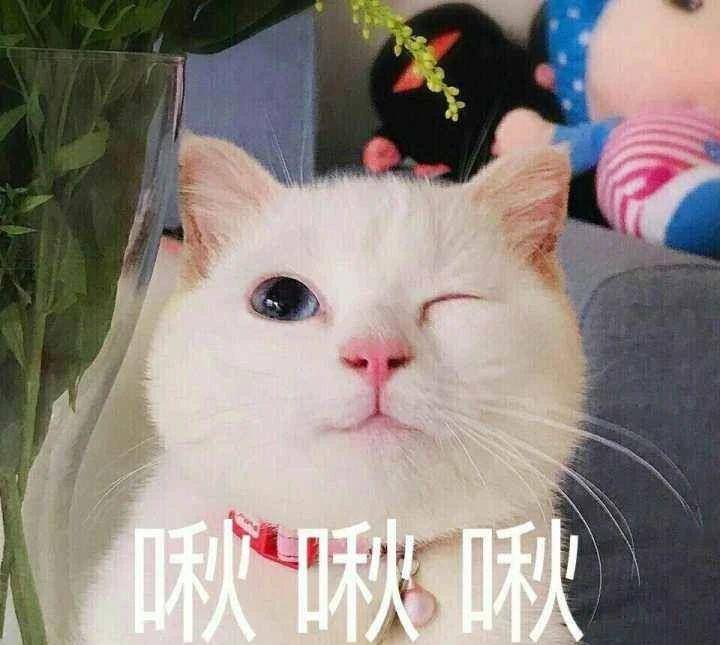 93d97f8afecb47ca86fc716d92f2e6ba.jpeg