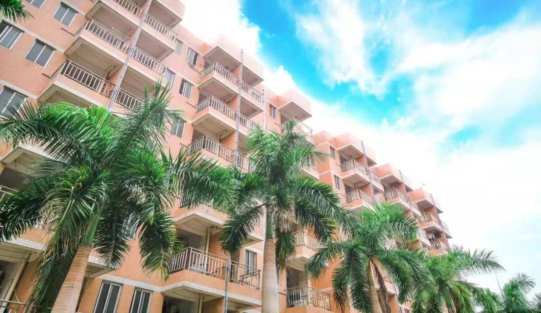 叮咚~一份来自东华学院的生活攻略哟！