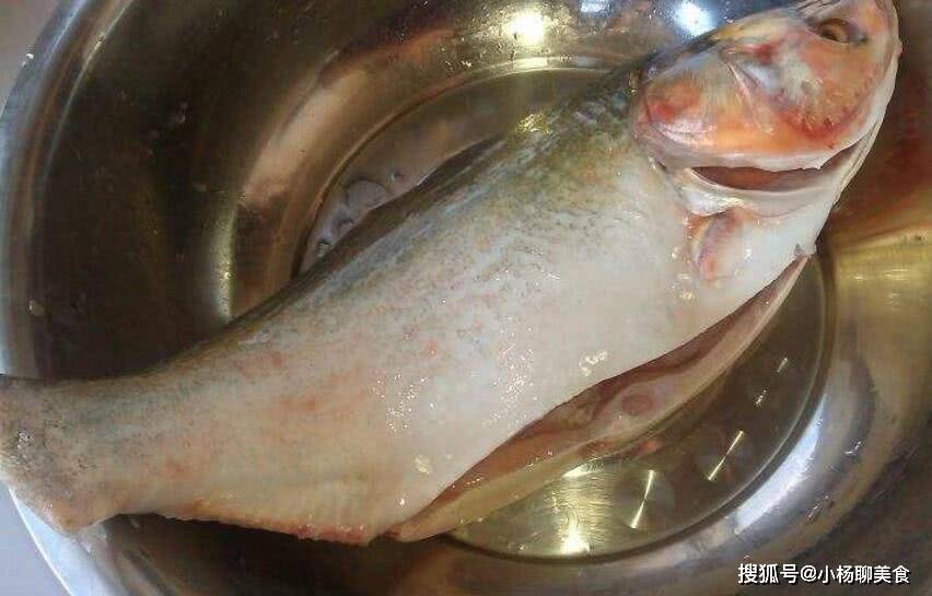 "白鲢"和"花鲢"长得很像,名字也只有一字之差,区别却很大!