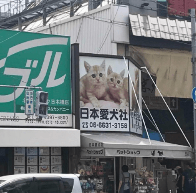 原创
这种身材的女朋友小拳拳捶胸口,谁顶得住啊