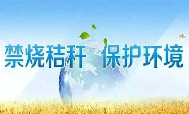 b3282ef3b6d24d5c9397a3b96c9ed20a.jpeg