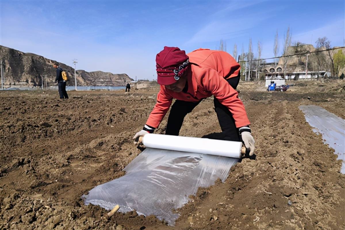 人勤春早争朝夕 吕梁处处农耕忙
