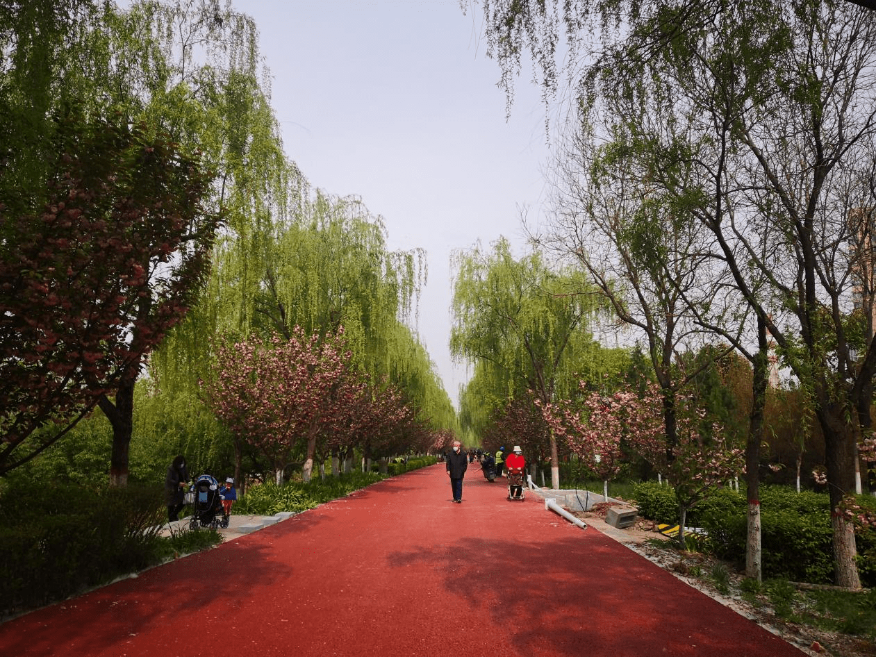 西安市民踏步又有好去处！浐灞河灞桥区段人行慢道旧貌换新颜