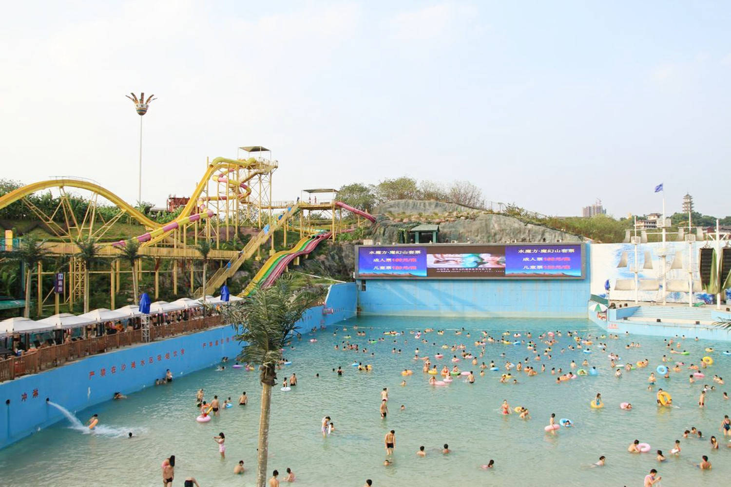 重庆的动物园它位于九龙坡区,动物园里面还细分为八个区域,分别是儿童