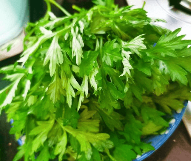 水草上长白毛像发霉 搜狗图片搜索