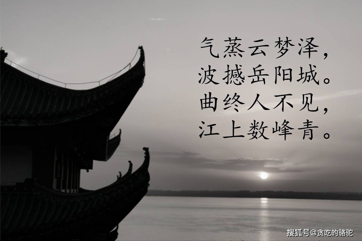 赵雅兰电子小提琴曲谱