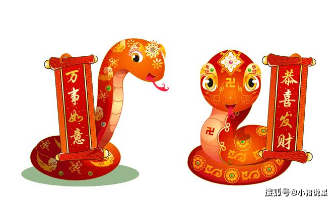 生肖蛇的朋友2021年-发财之年 2021年对于属蛇的朋友运势来说,绝对是